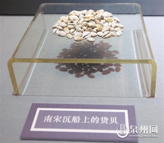 南宋沉船上的货贝 南宋沉船上的货贝